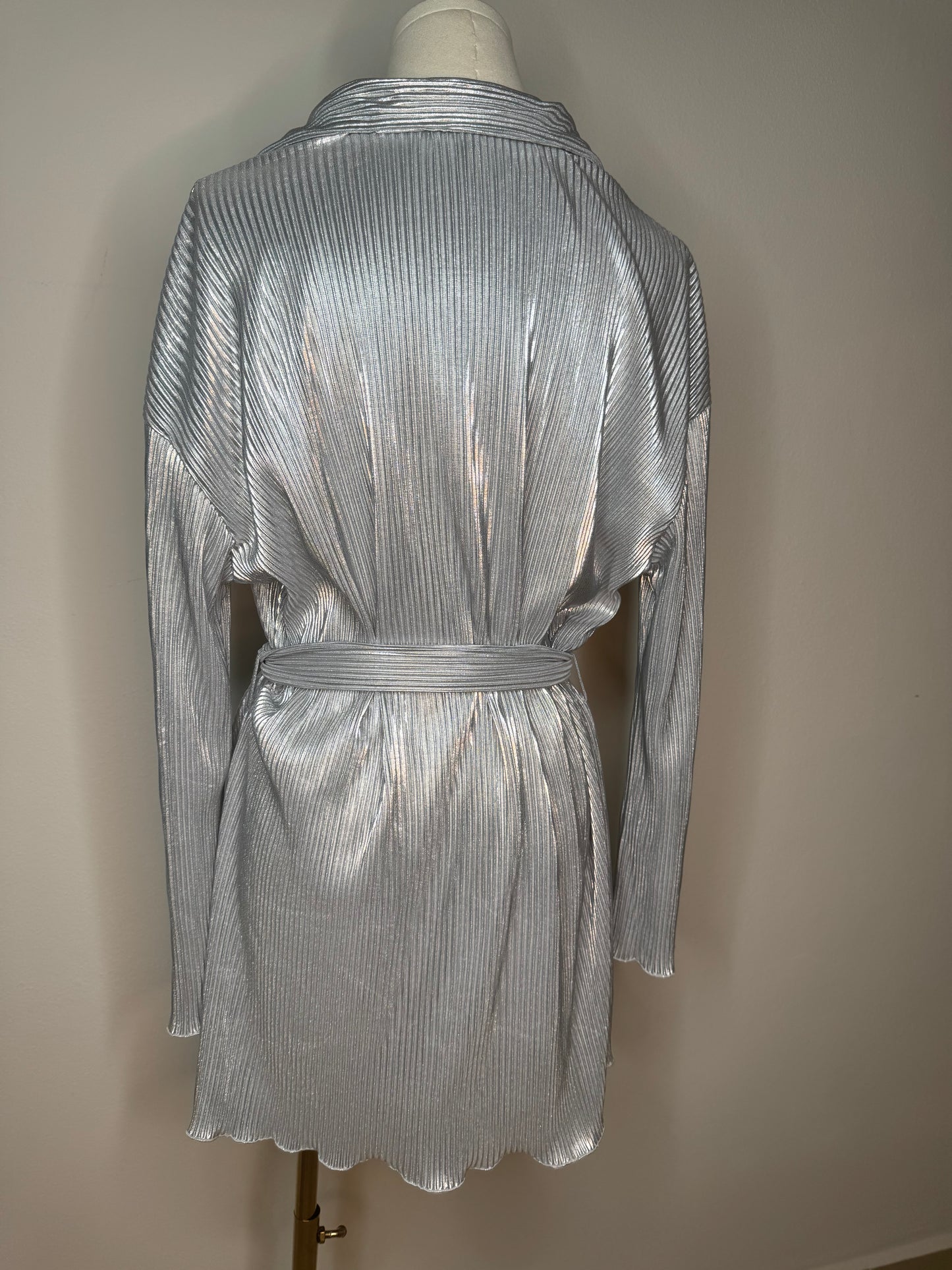 Silver dress