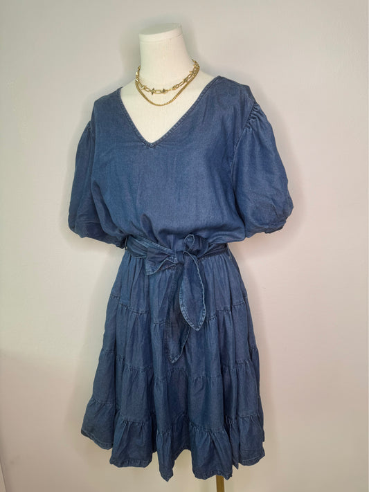 Curve Jean dress